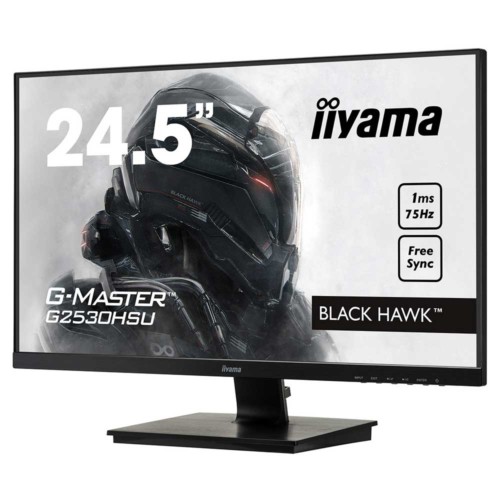 Ecran 24,5" iiyama G2530HSU